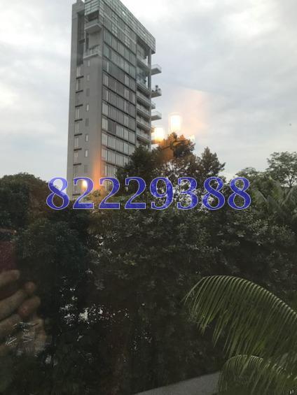 The Legend (D10), Condominium #161088882
